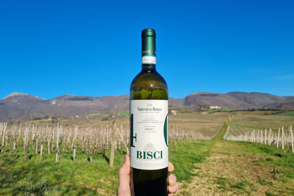 verdicchio-di-matelica-bottiglia-quarantesimo