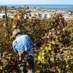|Raffaele Moccia Agnanum||||