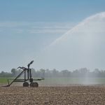 siccita - irrigazione - Foto di Anrita1705 da Pixabay
